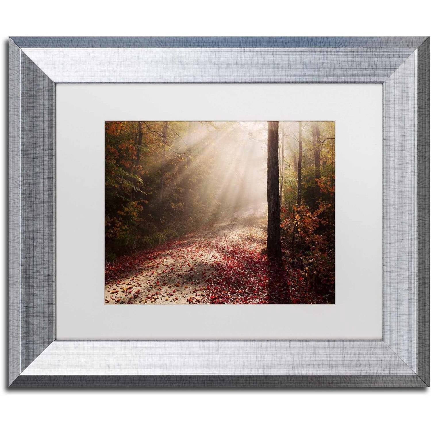 Trademark Fine Art 'Light in the Forest' Canvas Art by Michael Blanchette Photography, White Matte, Silver Frame