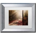 thumbnail image 1 of Trademark Fine Art 'Light in the Forest' Canvas Art by Michael Blanchette Photography, White Matte, Silver Frame, 1 of 4