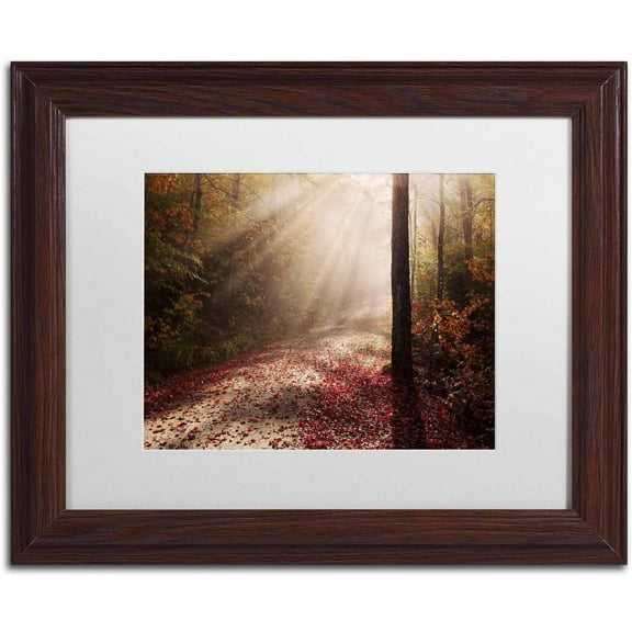 Trademark Fine Art 'Light in the Forest' Canvas Art by Michael Blanchette Photography, White Matte, Wood Frame