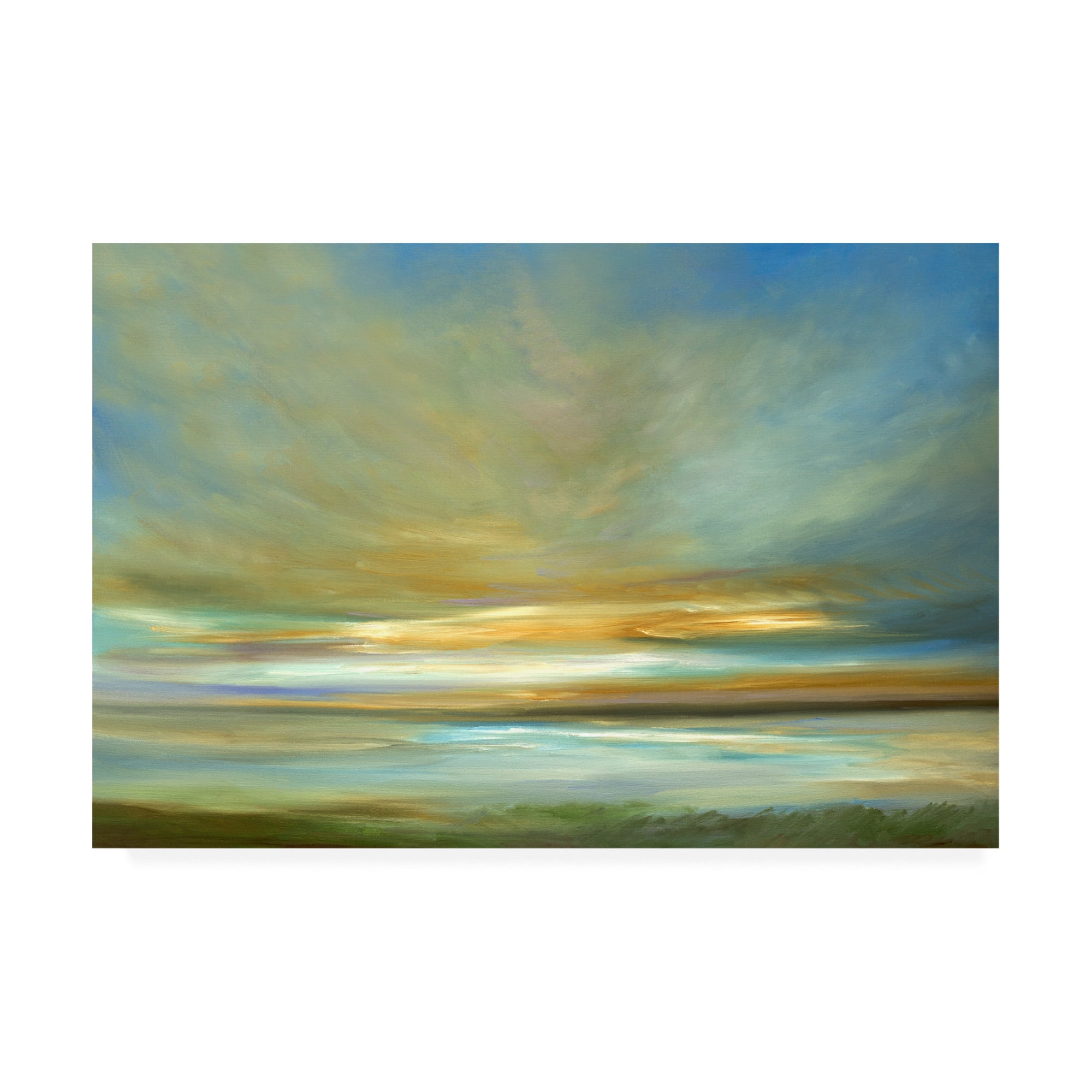 Trademark Fine Art 'Light on the Dunes' Canvas Art by Sheila Finch