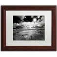 thumbnail image 1 of Trademark Fine Art "Light world" Canvas Art by Philippe Sainte-Laudy White Matte, Wood Frame, 1 of 1