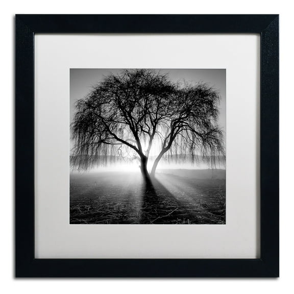 Trademark Fine Art "Lightning Tree I" Canvas Art by Moises Levy White Matte, Black Frame