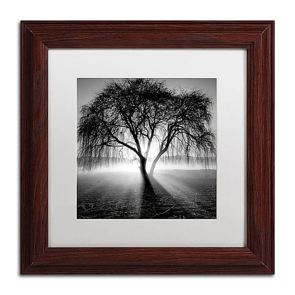 Trademark Fine Art "Lightning Tree I" Canvas Art by Moises Levy White Matte, Wood Frame