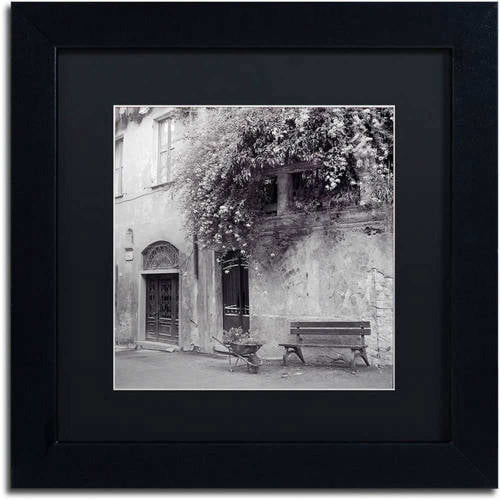 Trademark Fine Art "Liguria I" Canvas Art by Alan Blaustein, Black Matte, Black Frame