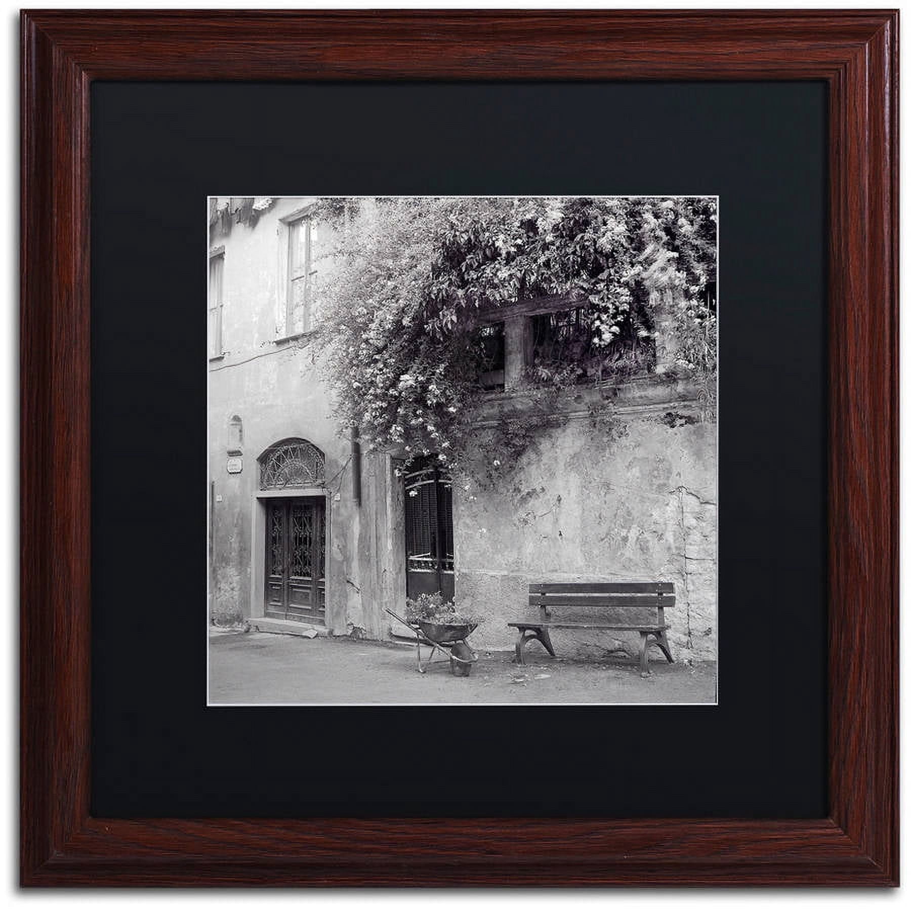 Trademark Fine Art "Liguria I" Canvas Art by Alan Blaustein, Black Matte, Wood Frame