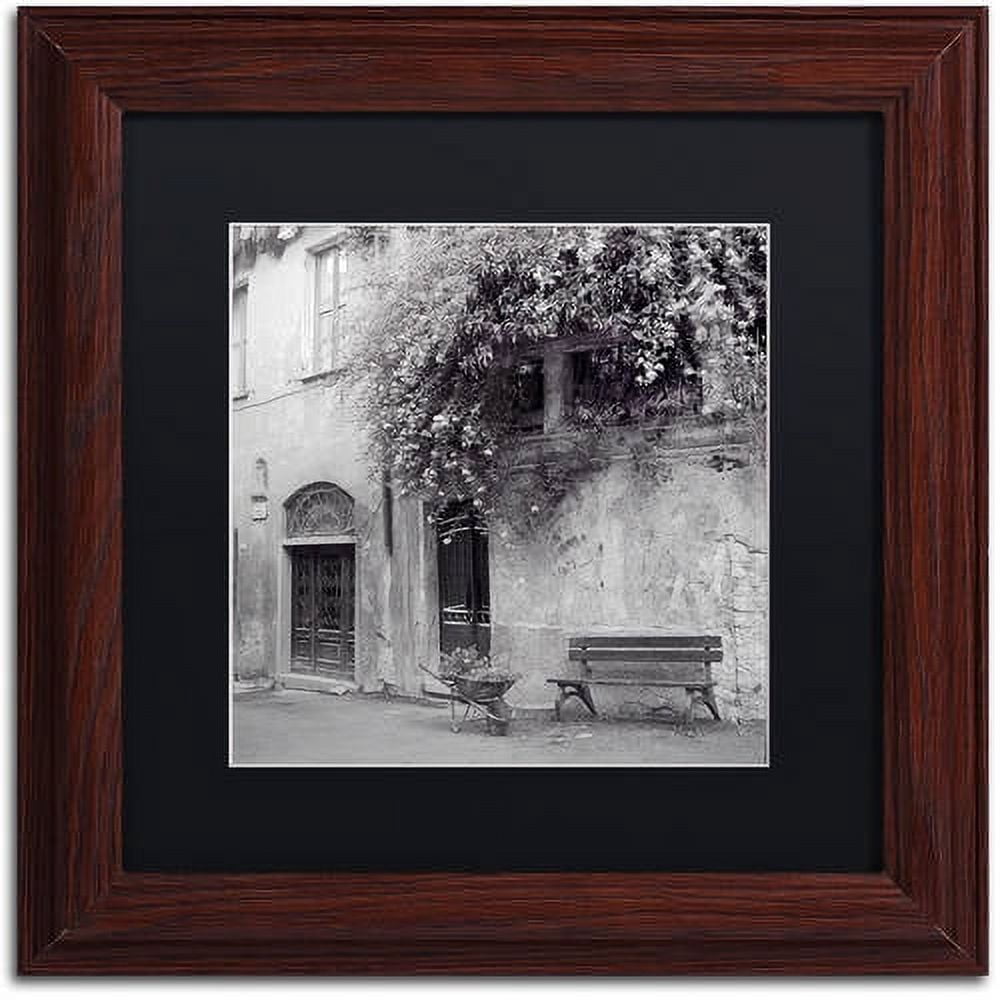 Trademark Fine Art "Liguria I" Canvas Art by Alan Blaustein, Black Matte, Wood Frame