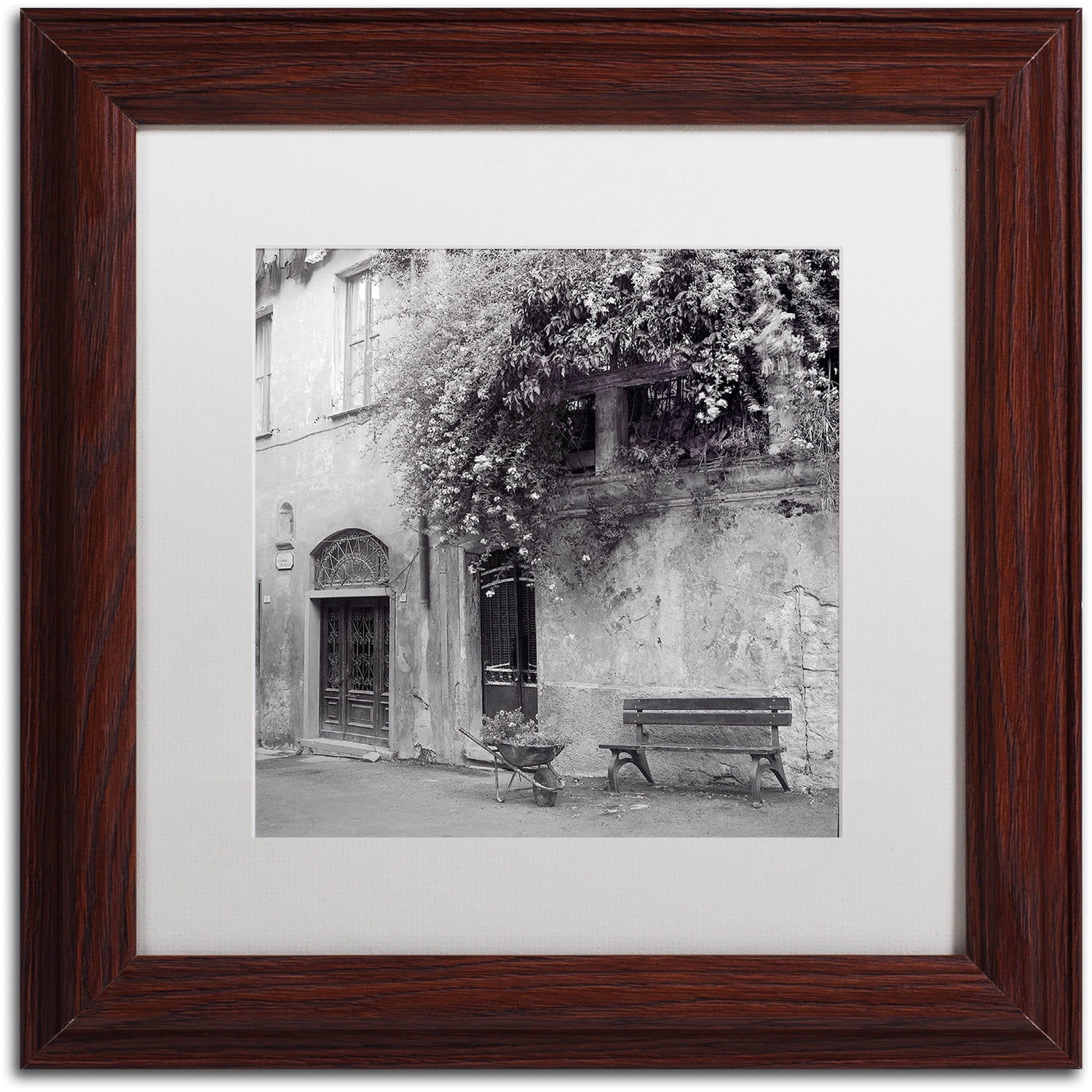 Trademark Fine Art "Liguria I" Canvas Art by Alan Blaustein, White Matte, Wood Frame