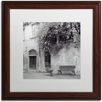 Trademark Fine Art "Liguria I" Canvas Art by Alan Blaustein, White Matte, Wood Frame