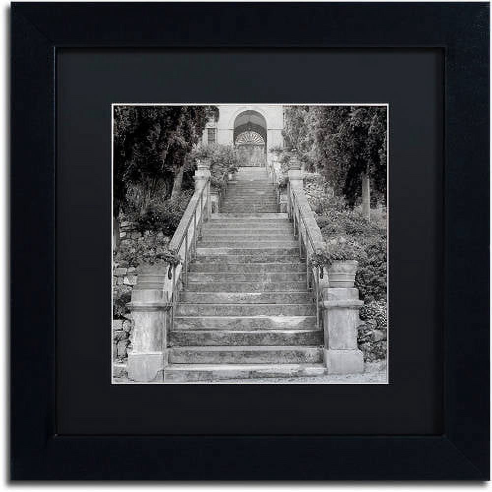 Trademark Fine Art "Liguria II" Canvas Art by Alan Blaustein, Black Matte, Black Frame
