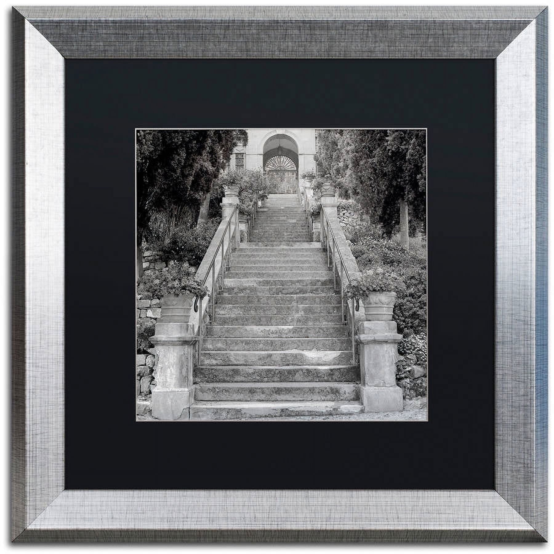 Trademark Fine Art "Liguria II" Canvas Art by Alan Blaustein, Black Matte, Silver Frame