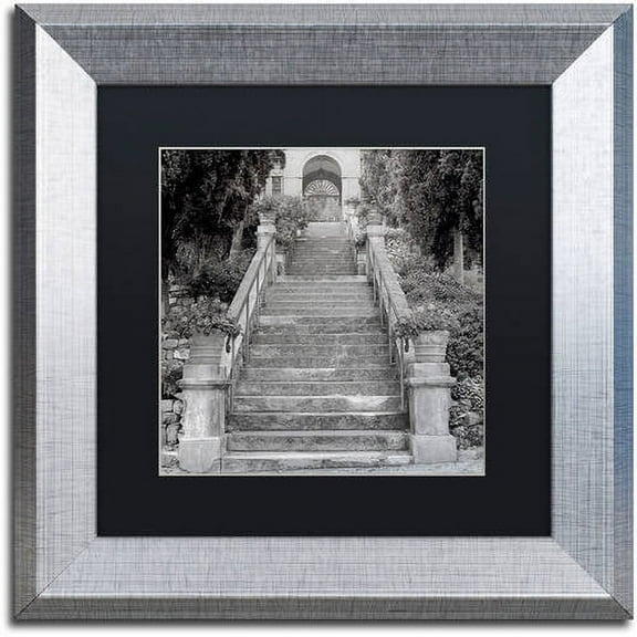 Trademark Fine Art "Liguria II" Canvas Art by Alan Blaustein, Black Matte, Silver Frame