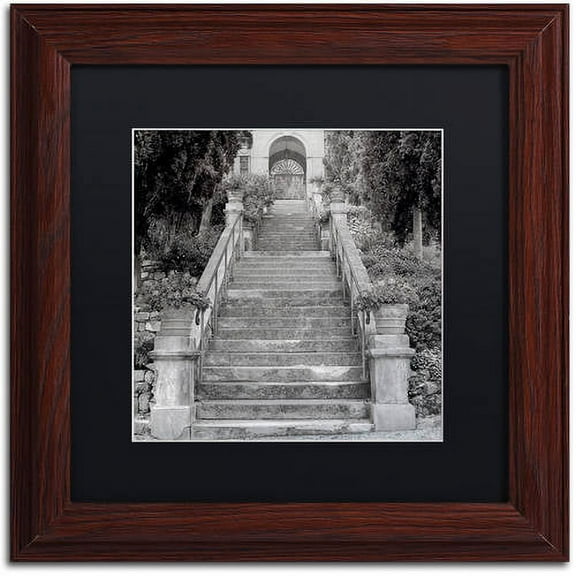 Trademark Fine Art "Liguria II" Canvas Art by Alan Blaustein, Black Matte, Wood Frame