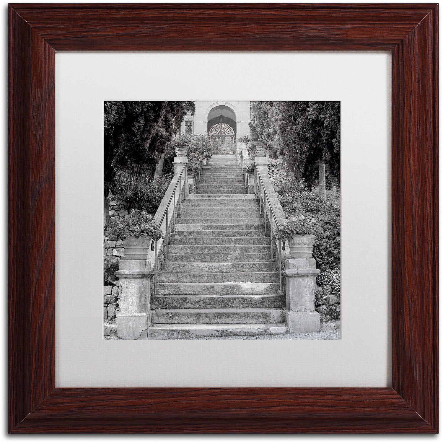 Trademark Fine Art "Liguria II" Canvas Art by Alan Blaustein, White Matte, Wood Frame
