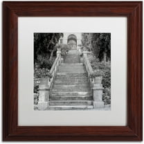 Trademark Fine Art "Liguria II" Canvas Art by Alan Blaustein, White Matte, Wood Frame