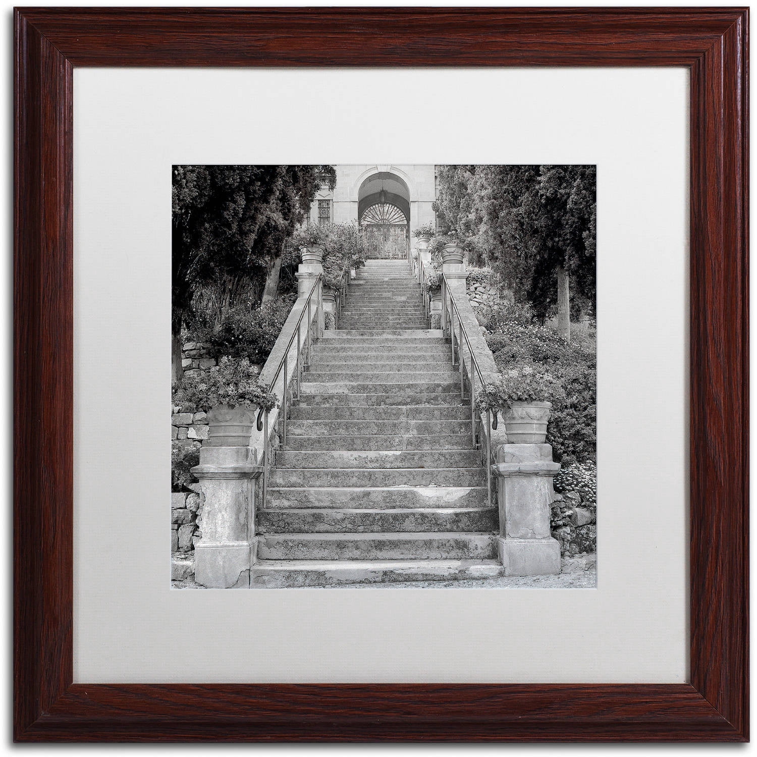 Trademark Fine Art "Liguria II" Canvas Art by Alan Blaustein, White Matte, Wood Frame