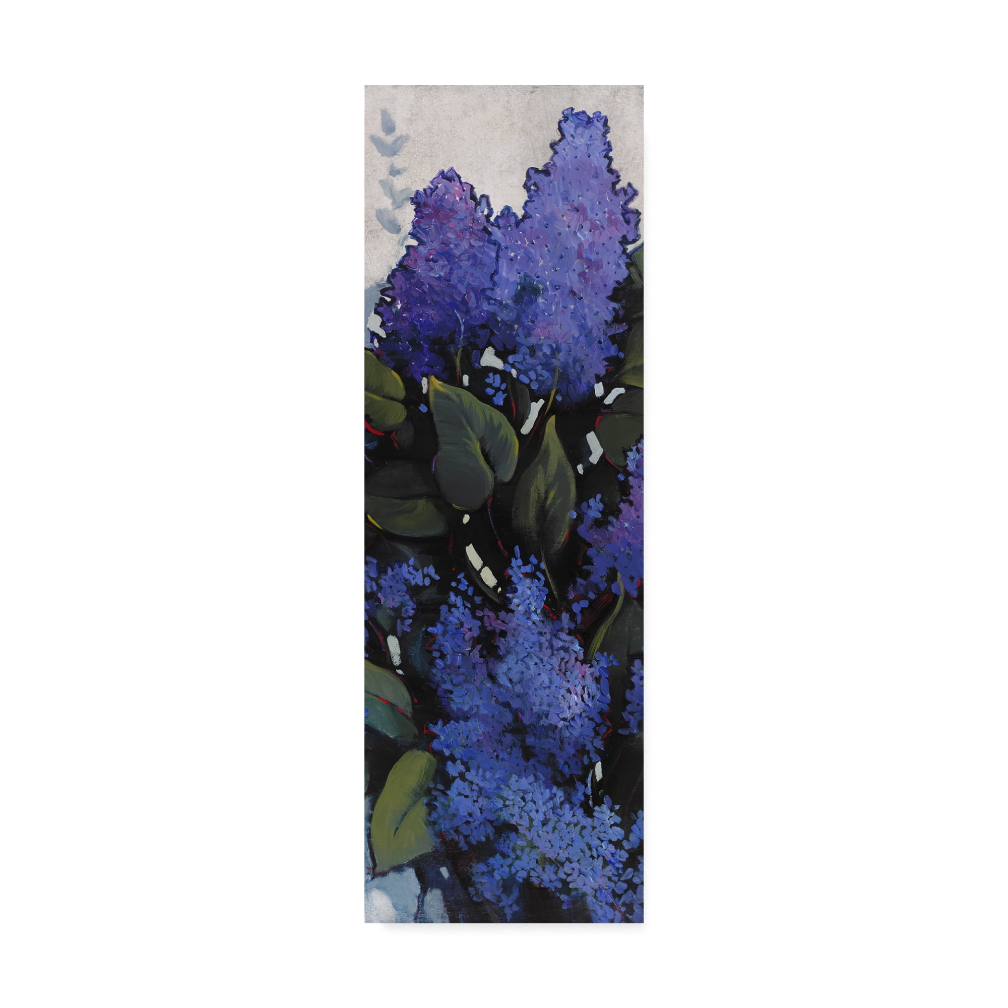 Trademark Fine Art 'Lilac Spray I' Canvas Art by Tim OToole