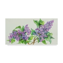 Trademark Fine Art 'Lilac Sprigs' Canvas Art by Joanne Porter