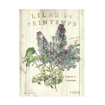 Trademark Fine Art 'Lilas de Printemps' Canvas Art by Sue Schlabach