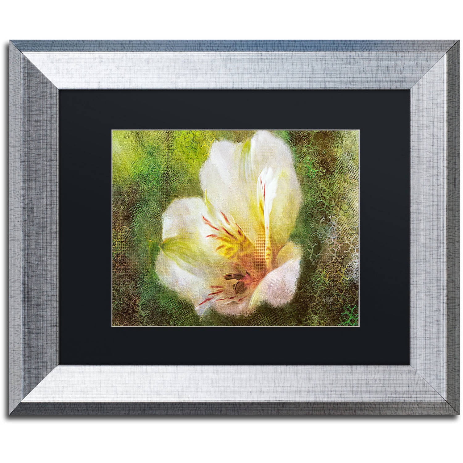 Trademark Fine Art "Lily of the Incas" Canvas Art by Lois Bryan Black Matte, Silver Frame