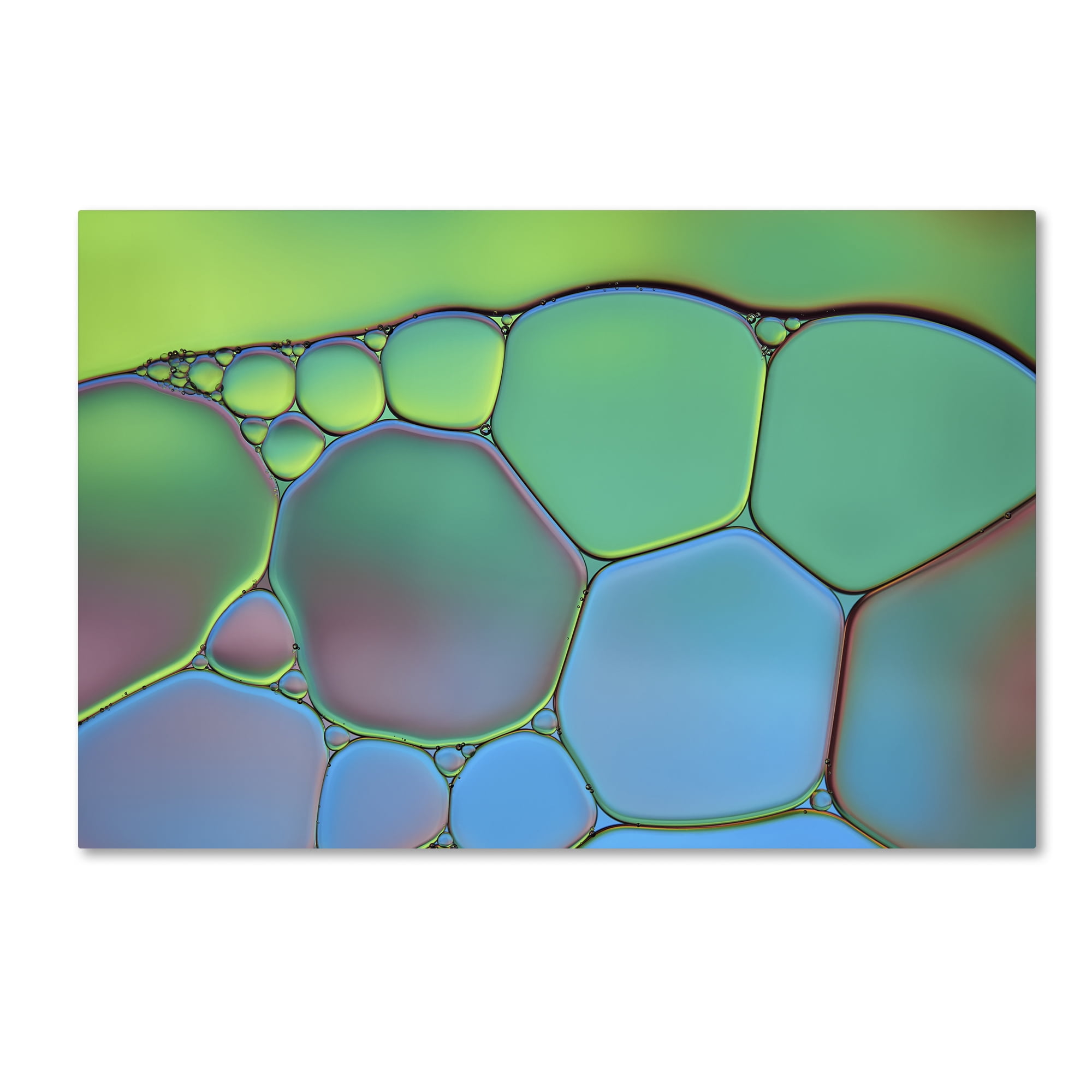 Trademark Fine Art 'Lime Green and Blue Stained Glass' Canvas Art by Cora Niele
