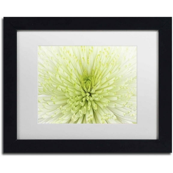 Trademark Fine Art 'Lime Light Spider Mum' Canvas Art by Cora Niele, White Matte, Black Frame