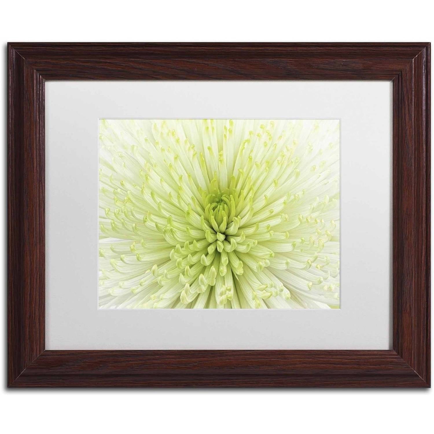 Trademark Fine Art 'Lime Light Spider Mum' Canvas Art by Cora Niele, White Matte, Wood Frame