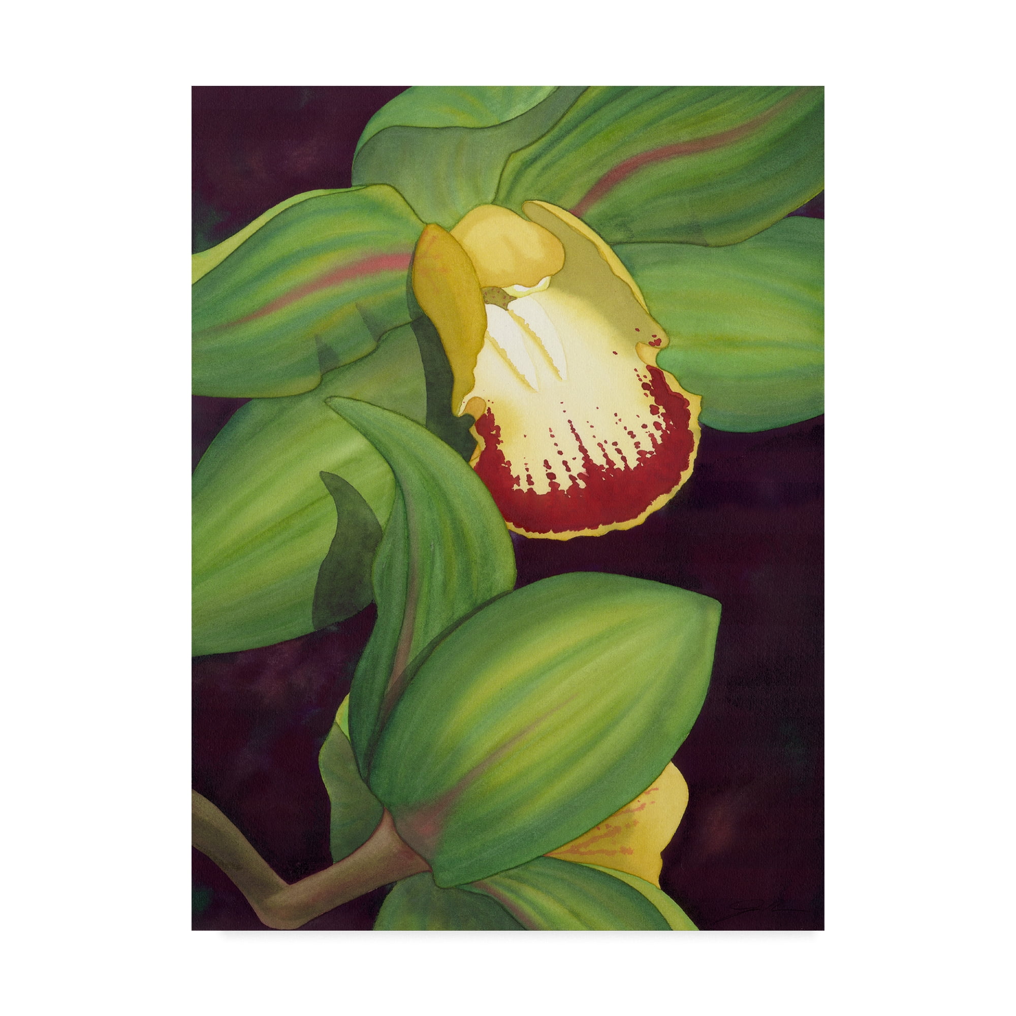 Trademark Fine Art 'Lime Orchid II' Canvas Art by Jason Higby