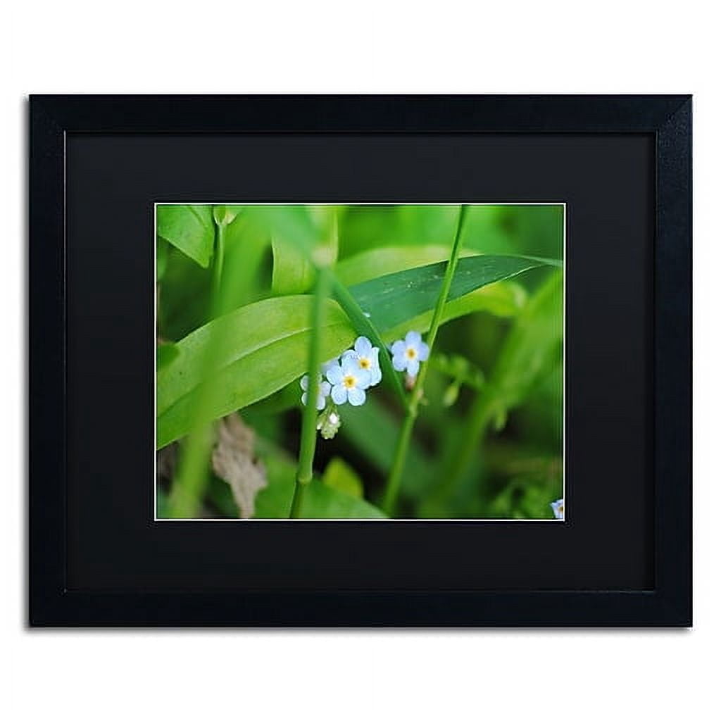 Trademark Fine Art "Limited Perfection" Canvas Art by Monica Mize, Black Matte, Black Frame