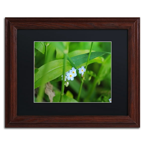 Trademark Fine Art "Limited Perfection" Canvas Art by Monica Mize, Black Matte, Wood Frame