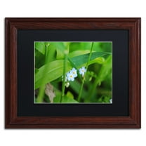 Trademark Fine Art "Limited Perfection" Canvas Art by Monica Mize, Black Matte, Wood Frame