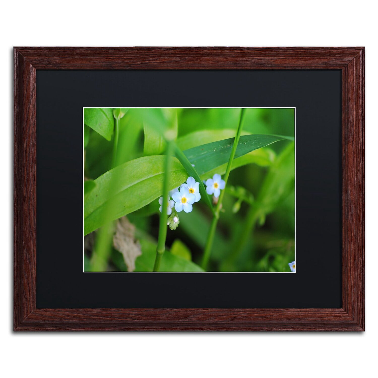 Trademark Fine Art "Limited Perfection" Canvas Art by Monica Mize, Black Matte, Wood Frame