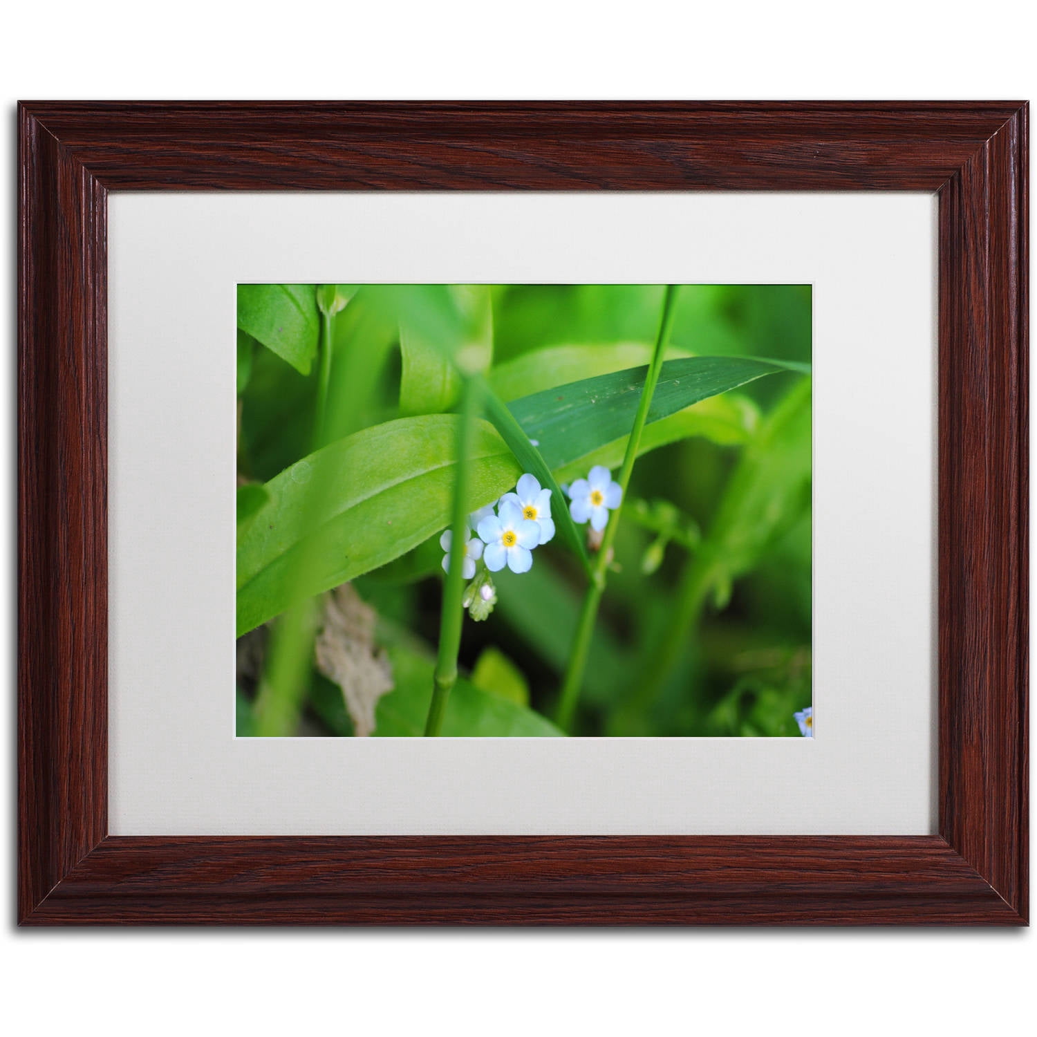 Trademark Fine Art "Limited Perfection" Canvas Art by Monica Mize, White Matte, Wood Frame