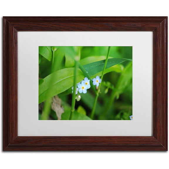 Trademark Fine Art "Limited Perfection" Canvas Art by Monica Mize, White Matte, Wood Frame