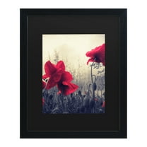 Trademark Fine Art 'Limitless' Canvas Art by Philippe Sainte-Laudy