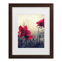 Trademark Fine Art 'Limitless' Canvas Art by Philippe Sainte-Laudy