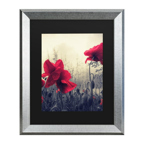 Trademark Fine Art 'Limitless' Canvas Art by Philippe Sainte-Laudy