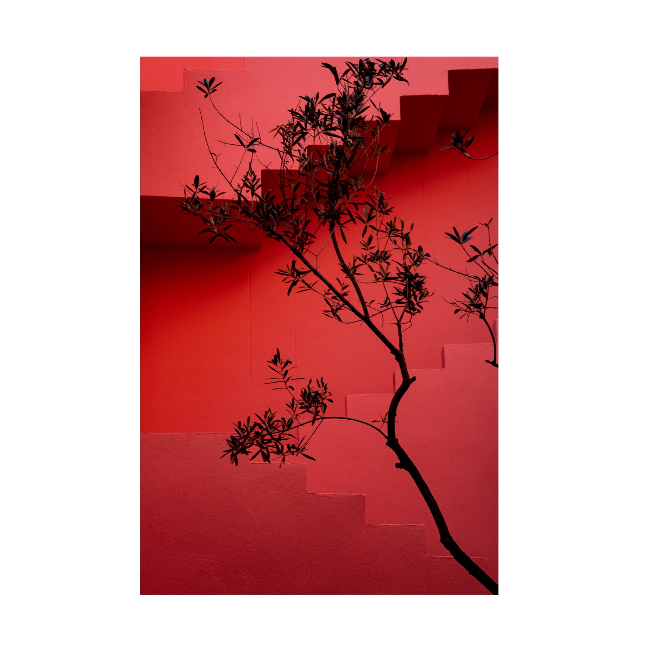 Trademark Fine Art Linda Wride Muralla Roja 14 Canvas Wall Art