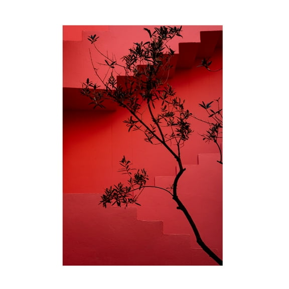 Trademark Fine Art Linda Wride Muralla Roja 14 Canvas Wall Art