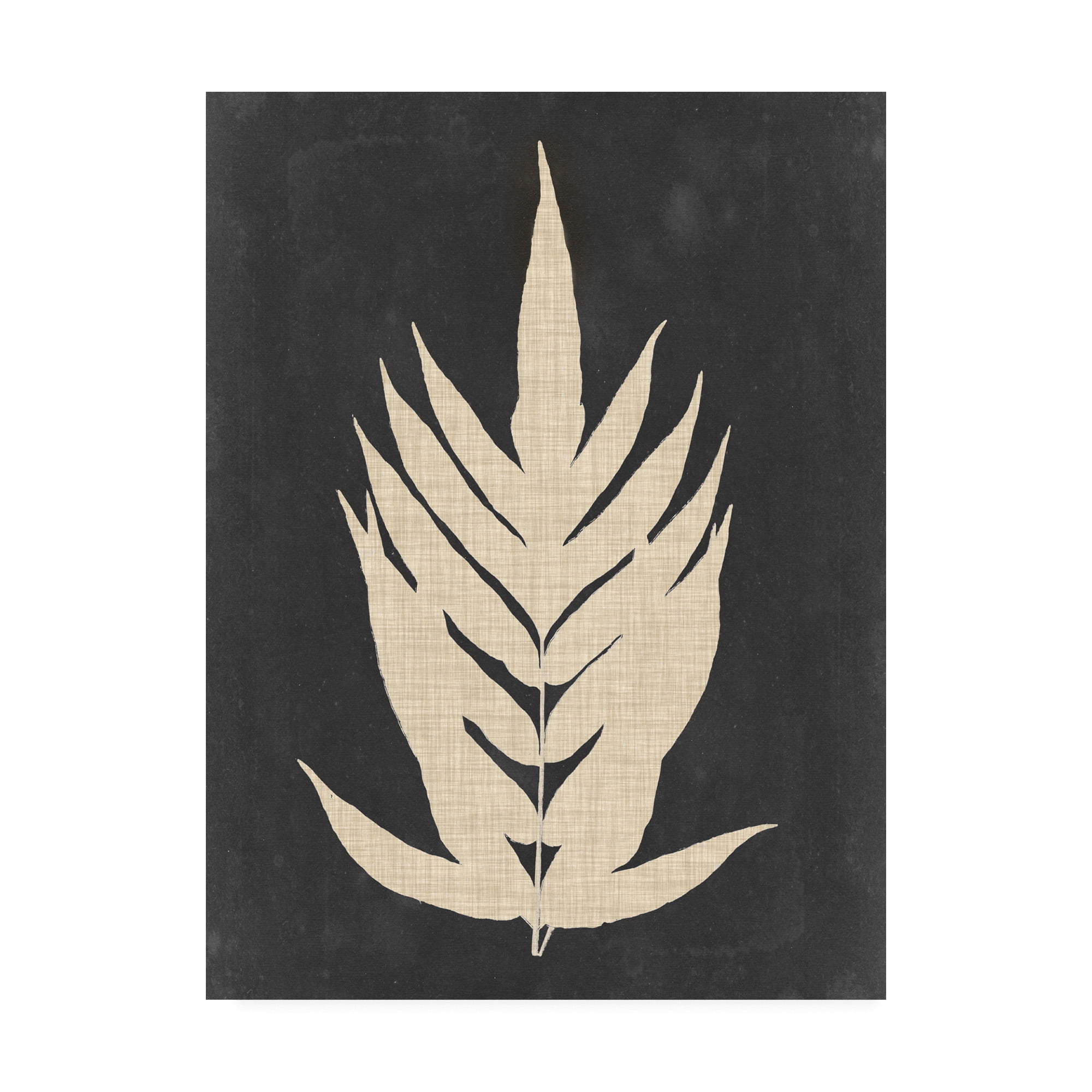 Trademark Fine Art 'Linen Fern II' Canvas Art by Vision Studio