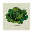 thumbnail image 1 of Trademark Fine Art 'Linen Vegetable II v2' Canvas Art by Studio Mousseau, 1 of 3