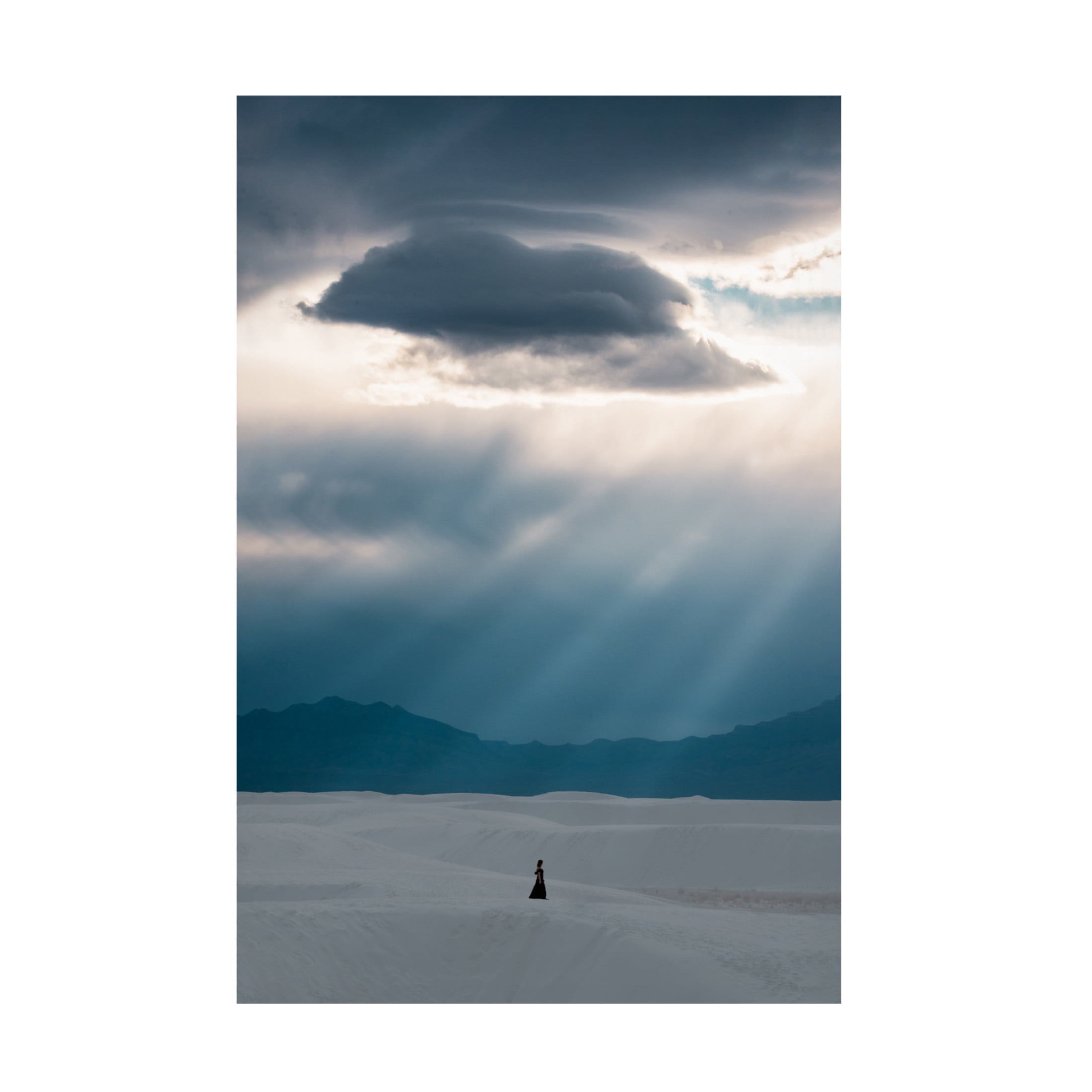 Trademark Fine Art Ling Zhang Umbrella Canvas Wall Art