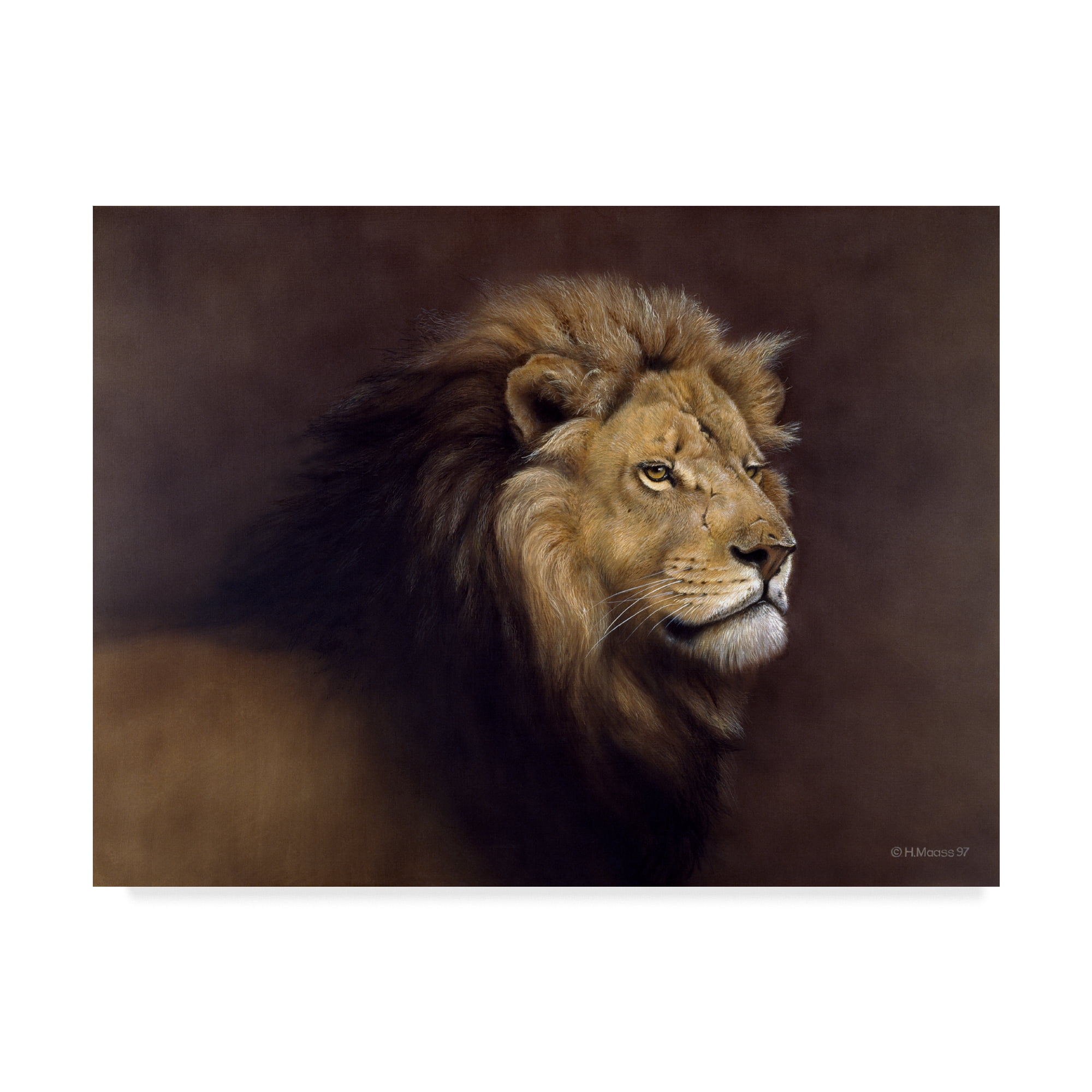 Harro Maass Lion Male Canvas Art in Dark Scene, 14" x 19"