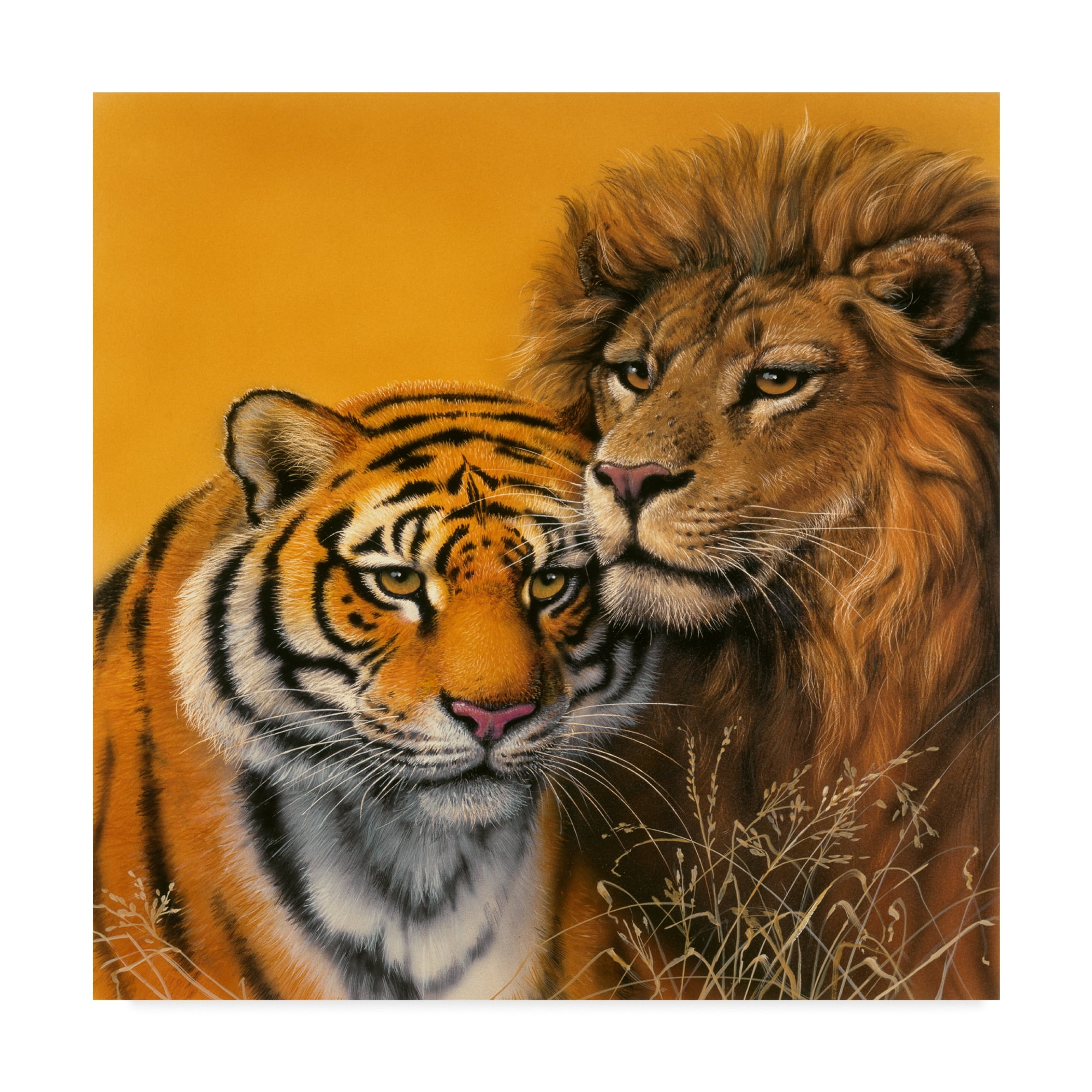 Harro Maass Lion and Tiger Orange Canvas Art, 14 x 14 inches