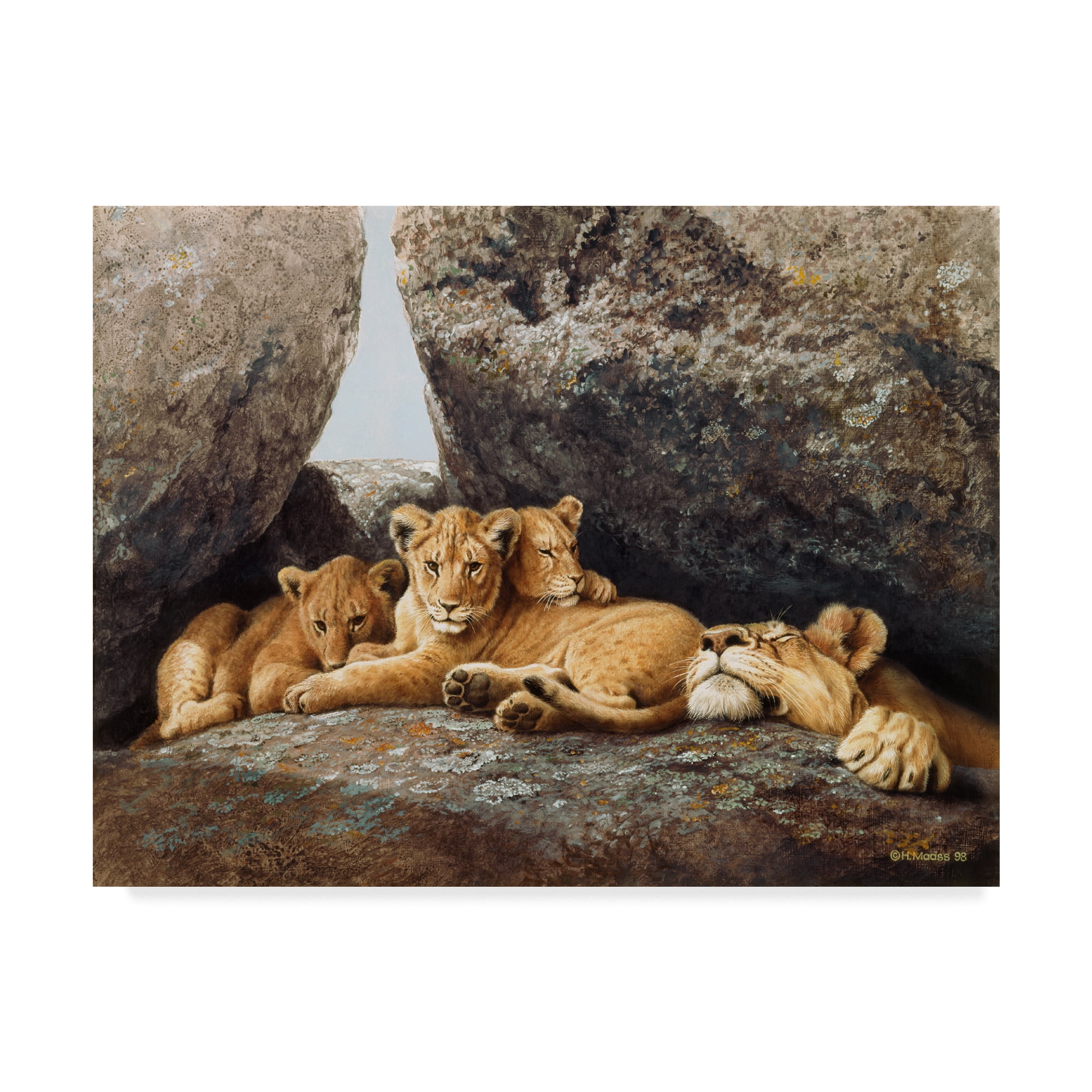 Trademark Fine Art 'Lioness With Cubs' Canvas Art by Harro Maass