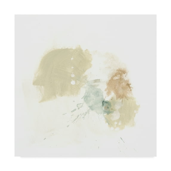 Trademark Fine Art 'Liquid Echo I' Canvas Art by June Erica Vess