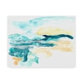 thumbnail image 1 of Trademark Fine Art 'Liquid Lakebed II' Canvas Art by June Erica Vess, 1 of 4