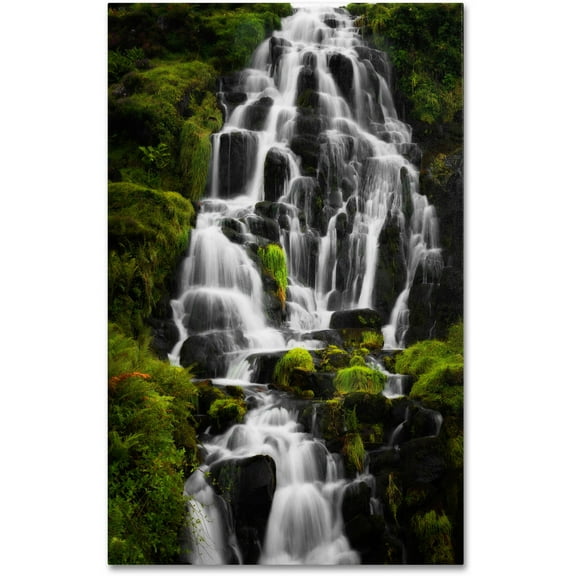 Trademark Fine Art "Liquid Road" Canvas Art by Philippe Sainte-Laudy