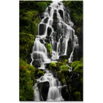 Trademark Fine Art "Liquid Road" Canvas Art by Philippe Sainte-Laudy