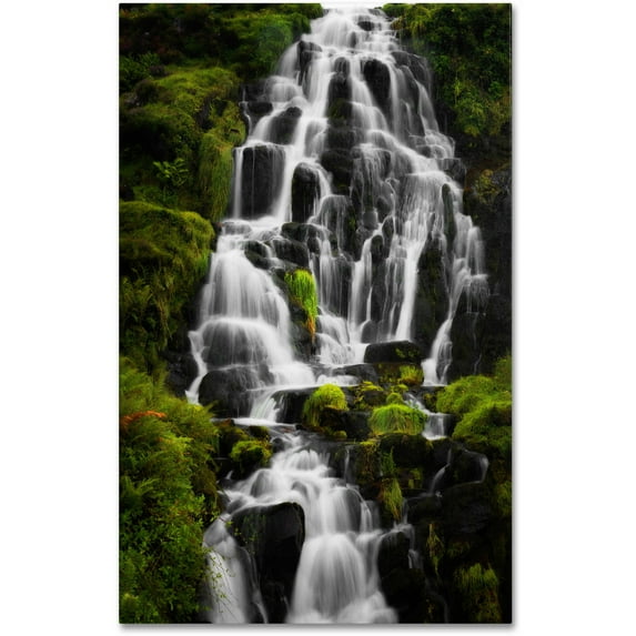 Trademark Fine Art "Liquid Road" Canvas Art by Philippe Sainte-Laudy