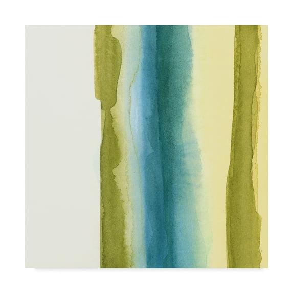 Trademark Fine Art 'Liquidity I' Canvas Art by Chariklia Zarris